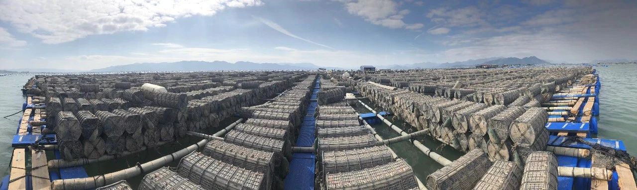 【優(yōu)質(zhì)展商】雙浩源水產(chǎn)有限公司 —— 質(zhì)量贏得市場(chǎng),誠(chéng)信鑄就品牌(圖5) 微信圖片_20240809153701.jpg