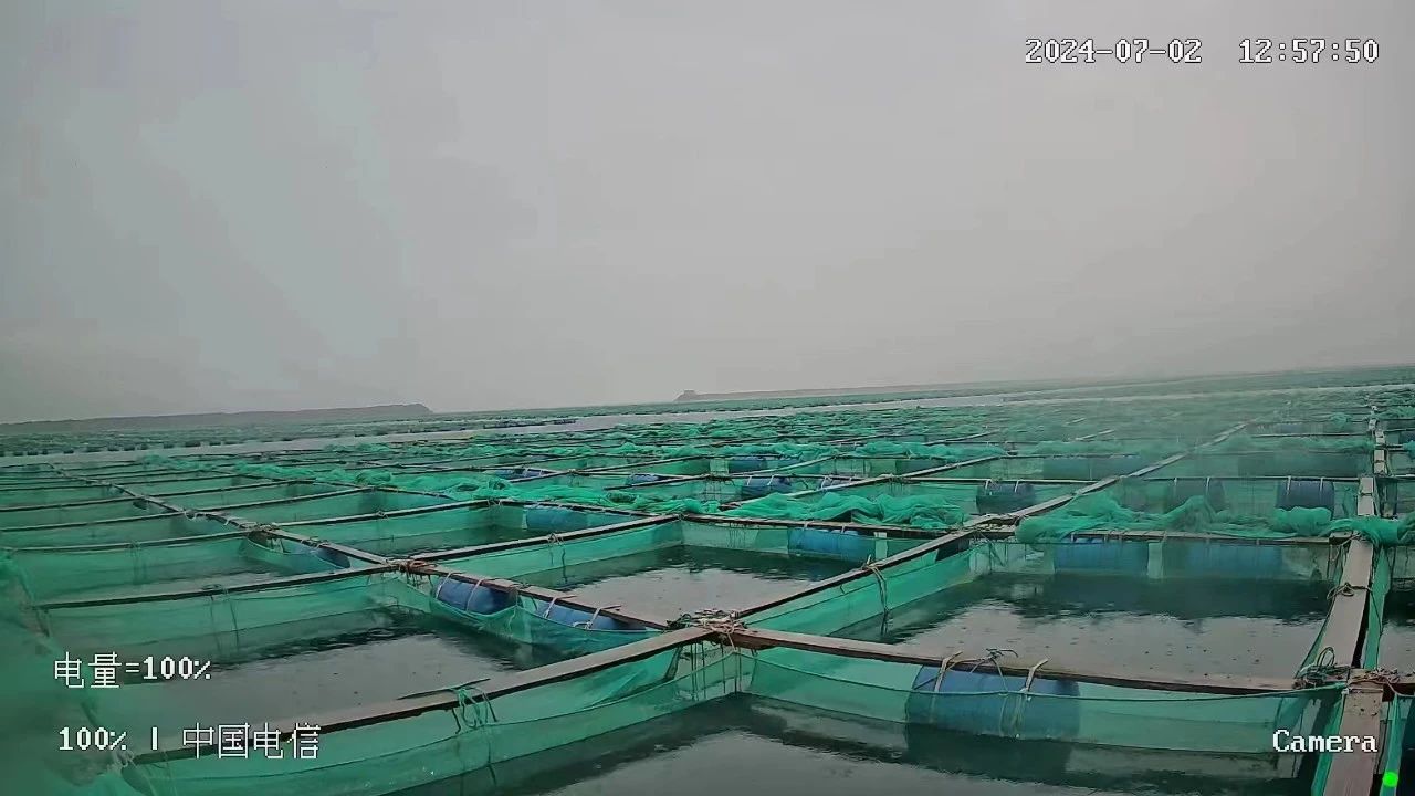 【優(yōu)質(zhì)展商】雙浩源水產(chǎn)有限公司 —— 質(zhì)量贏得市場(chǎng),誠(chéng)信鑄就品牌(圖6) 微信圖片_20240809153737.jpg