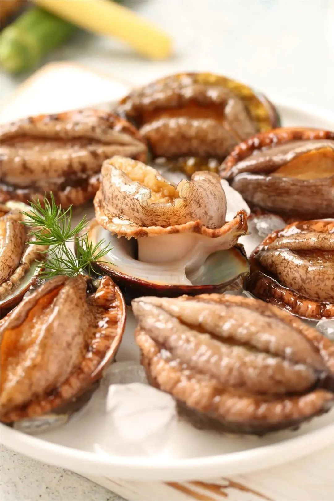 “鮑”款新品亮相上海漁博會(huì)！揭秘中國(guó)鮑魚(yú)領(lǐng)軍企業(yè)的硬核實(shí)力(圖3)