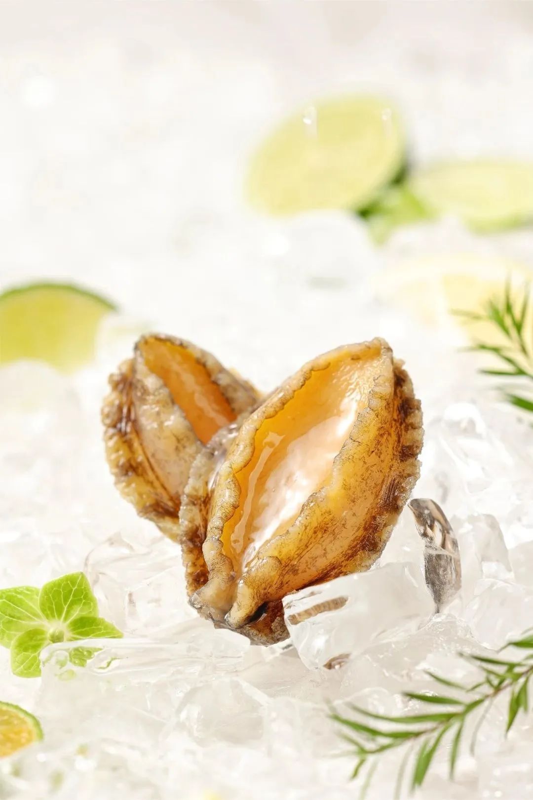 “鮑”款新品亮相上海漁博會(huì)！揭秘中國(guó)鮑魚(yú)領(lǐng)軍企業(yè)的硬核實(shí)力(圖2)