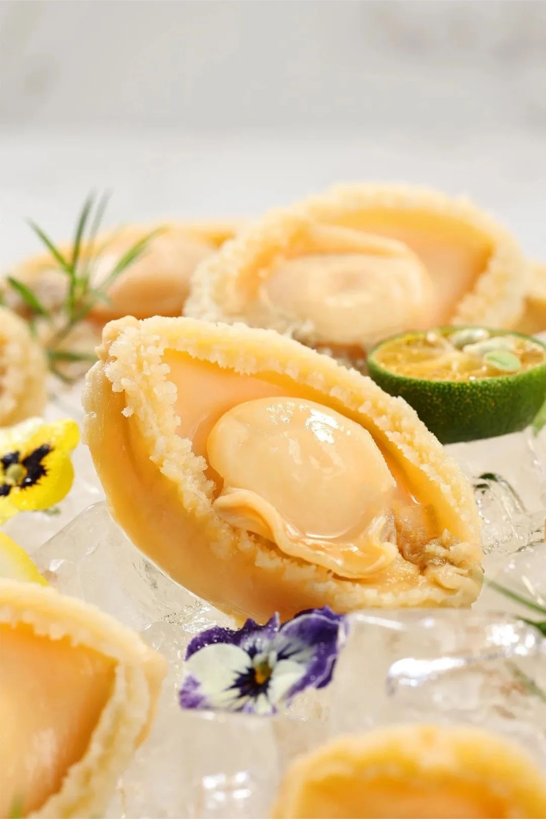 “鮑”款新品亮相上海漁博會(huì)！揭秘中國(guó)鮑魚(yú)領(lǐng)軍企業(yè)的硬核實(shí)力(圖11)