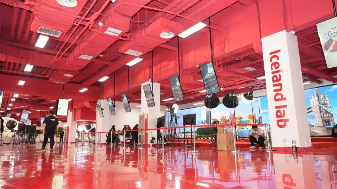 英國冷凍食品巨頭 Iceland Foods 進(jìn)軍中國市場(圖4)