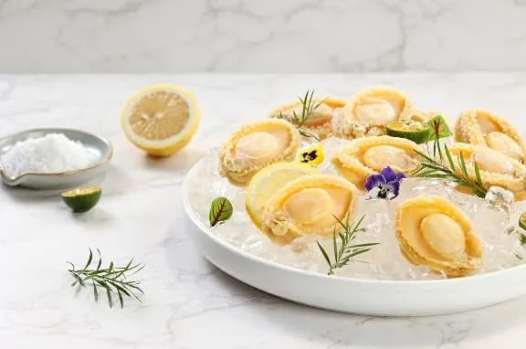 【優(yōu)質(zhì)展商】福州源豐海洋科技有限公司——我養(yǎng)鮑魚(yú)，鮑魚(yú)養(yǎng)你(圖7)