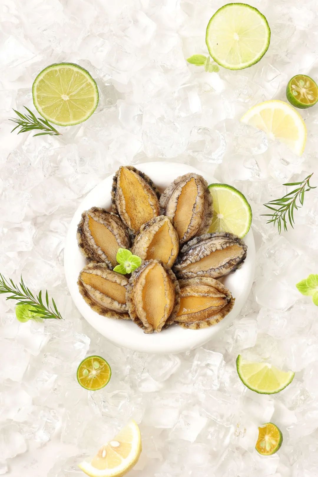 【優(yōu)質(zhì)展商】福州源豐海洋科技有限公司——我養(yǎng)鮑魚(yú)，鮑魚(yú)養(yǎng)你(圖8)