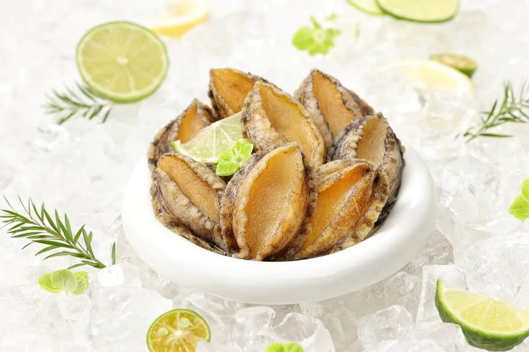 【優(yōu)質(zhì)展商】福州源豐海洋科技有限公司——我養(yǎng)鮑魚(yú)，鮑魚(yú)養(yǎng)你(圖10)