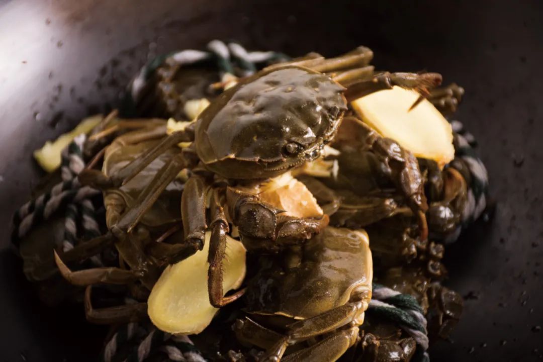 重磅推出！首屆水產(chǎn)區(qū)域公用品牌大會(huì)解碼行業(yè)趨勢(shì)，邀您研討未來(lái)！(圖8)