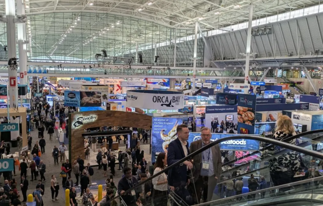 海外征途 對接國際 | 深入2025波士頓海鮮展探索新藍海(圖2)