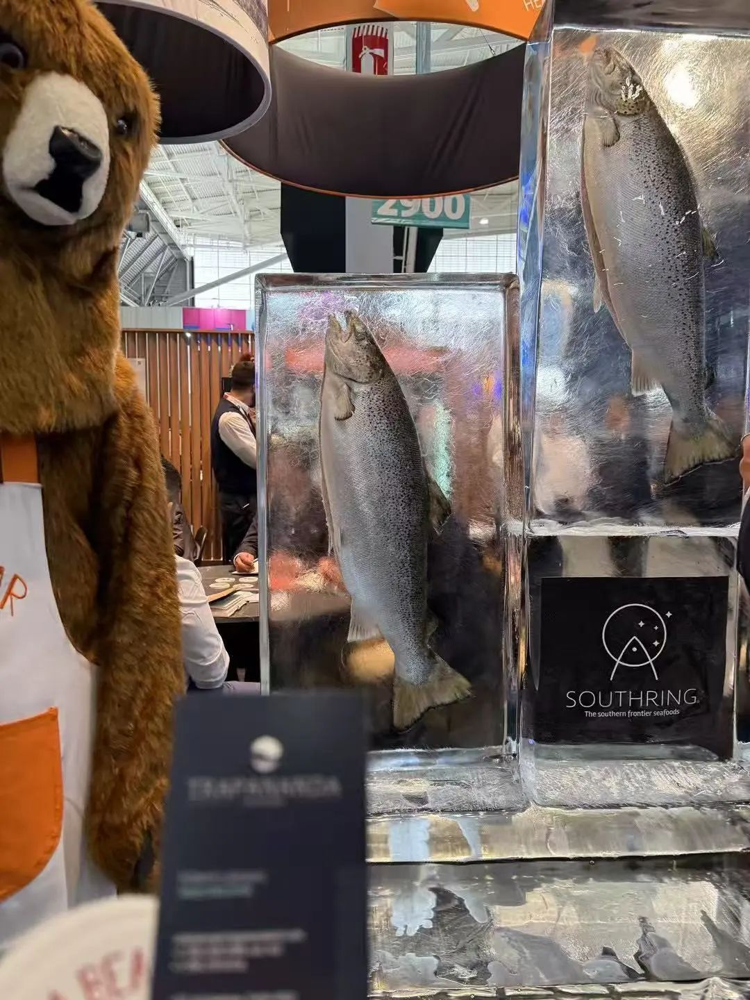 海外征途 對接國際 | 深入2025波士頓海鮮展探索新藍海(圖10)