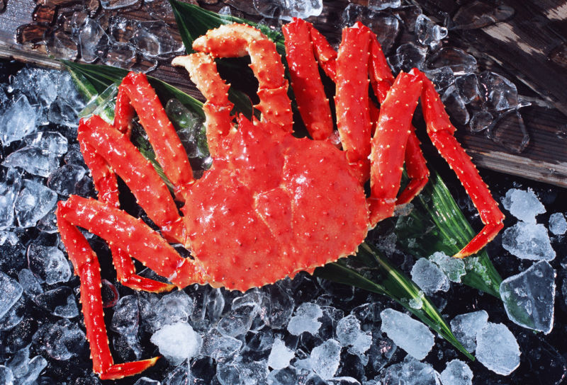 【優(yōu)質(zhì)展商】上海巖鮮貿(mào)易有限公司——做優(yōu)質(zhì)企業(yè)、樹百年品牌(圖1)