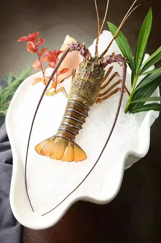 【優(yōu)質(zhì)展商】上海巖鮮貿(mào)易有限公司——做優(yōu)質(zhì)企業(yè)、樹百年品牌(圖7)