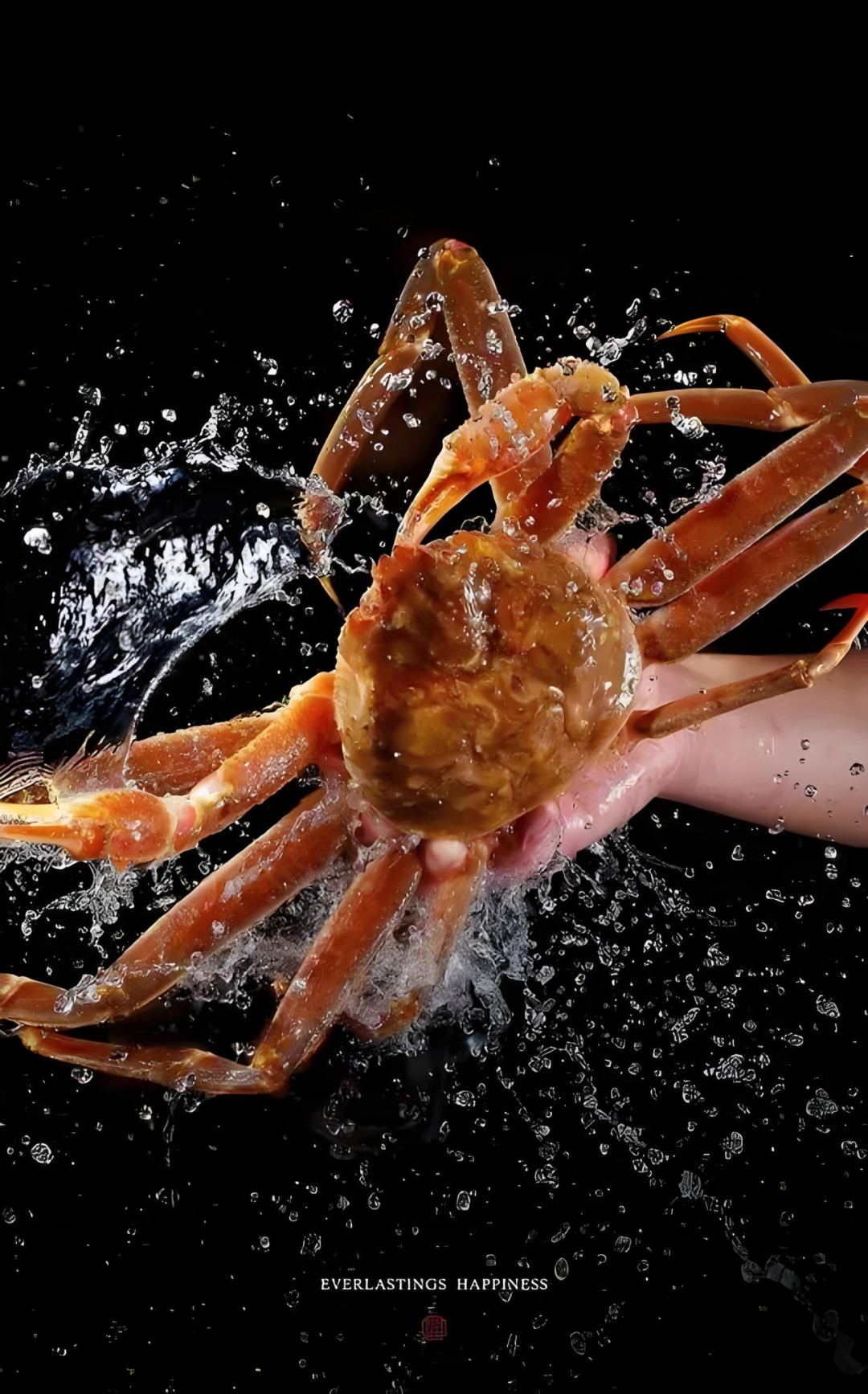 【優(yōu)質(zhì)展商】上海巖鮮貿(mào)易有限公司——做優(yōu)質(zhì)企業(yè)、樹百年品牌(圖4)