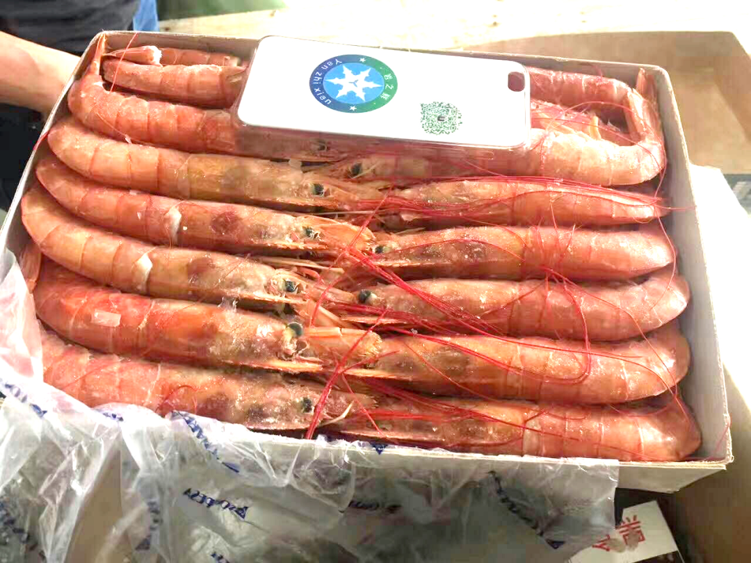 【優(yōu)質(zhì)展商】上海巖鮮貿(mào)易有限公司——做優(yōu)質(zhì)企業(yè)、樹百年品牌(圖9)