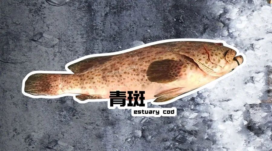 【優(yōu)質(zhì)展商】煙臺(tái)有個(gè)海進(jìn)出口有限公司——讓野生鮮味直達(dá)舌尖！(圖3)