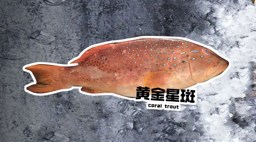 【優(yōu)質(zhì)展商】煙臺(tái)有個(gè)海進(jìn)出口有限公司——讓野生鮮味直達(dá)舌尖！(圖4)