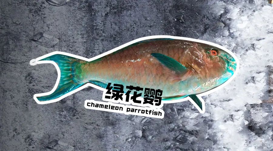 【優(yōu)質(zhì)展商】煙臺(tái)有個(gè)海進(jìn)出口有限公司——讓野生鮮味直達(dá)舌尖！(圖10)