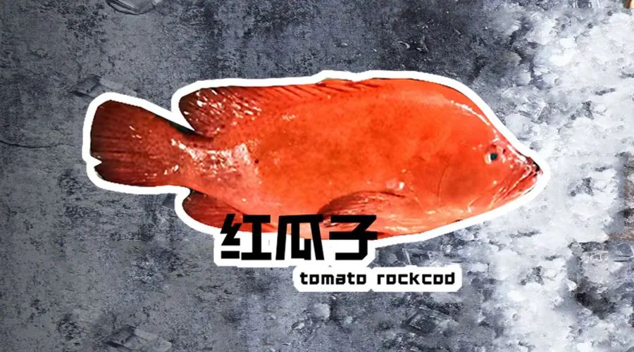 【優(yōu)質(zhì)展商】煙臺(tái)有個(gè)海進(jìn)出口有限公司——讓野生鮮味直達(dá)舌尖！(圖8)