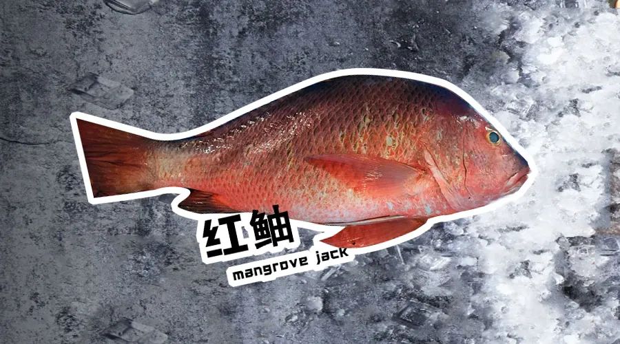 【優(yōu)質(zhì)展商】煙臺(tái)有個(gè)海進(jìn)出口有限公司——讓野生鮮味直達(dá)舌尖！(圖15)