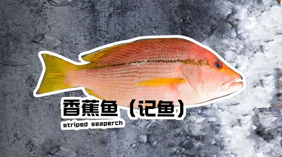 【優(yōu)質(zhì)展商】煙臺(tái)有個(gè)海進(jìn)出口有限公司——讓野生鮮味直達(dá)舌尖！(圖13)