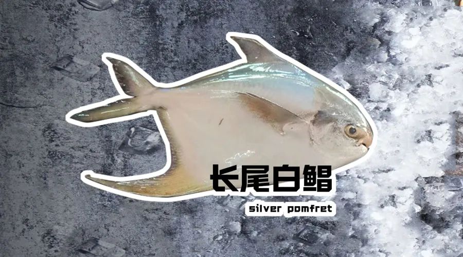 【優(yōu)質(zhì)展商】煙臺(tái)有個(gè)海進(jìn)出口有限公司——讓野生鮮味直達(dá)舌尖！(圖16)