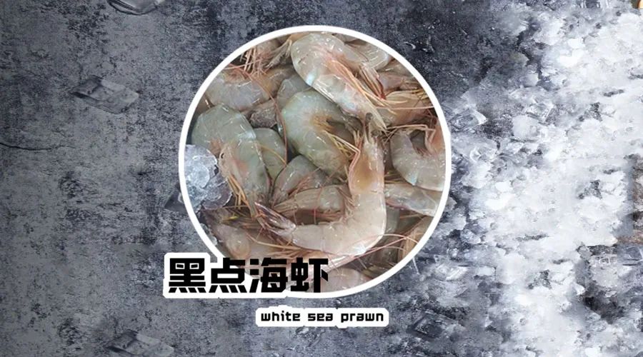 【優(yōu)質(zhì)展商】煙臺(tái)有個(gè)海進(jìn)出口有限公司——讓野生鮮味直達(dá)舌尖！(圖17)