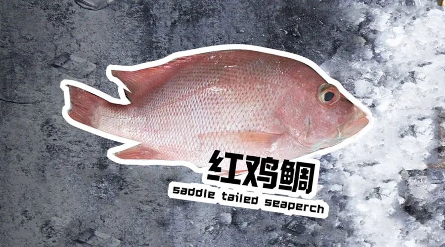 【優(yōu)質(zhì)展商】煙臺(tái)有個(gè)海進(jìn)出口有限公司——讓野生鮮味直達(dá)舌尖！(圖14)