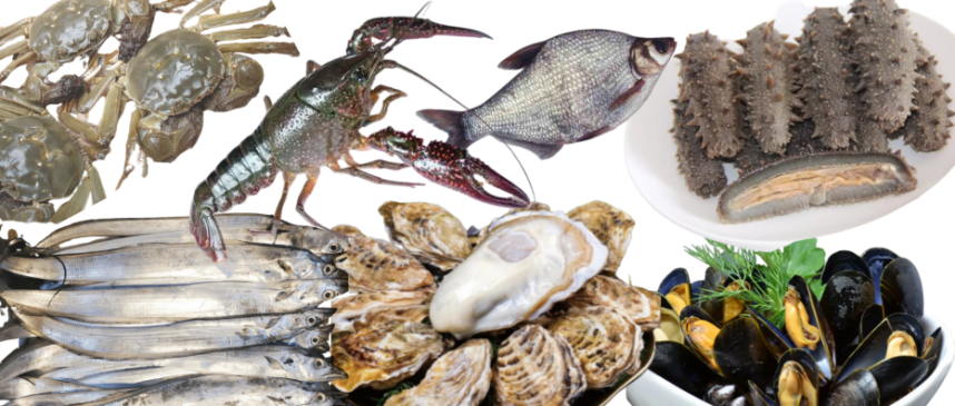 聚焦水產(chǎn)地標(biāo)，賦能品牌未來——2025水產(chǎn)地理標(biāo)志區(qū)域公用品牌博覽會將于8月在上海啟幕！(圖3)