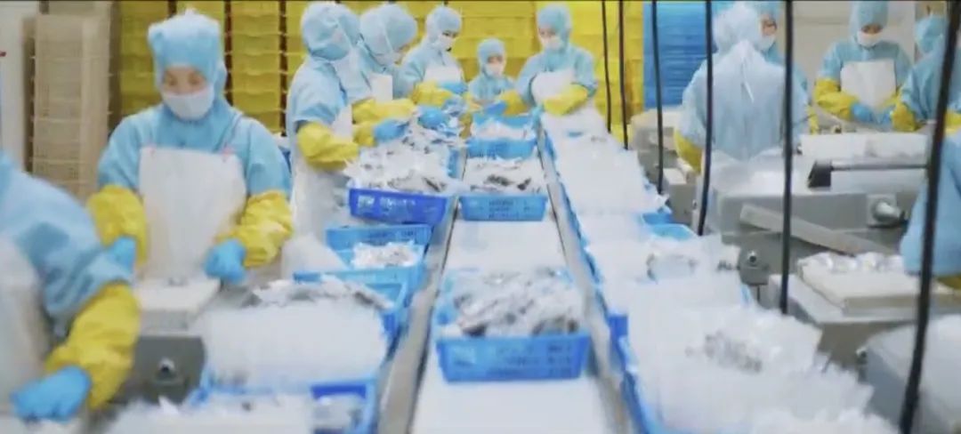 【優(yōu)質(zhì)展商】丹東泰宏食品有限公司——全球首個雜色蛤MSC認證企業(yè)(圖2) 【優(yōu)質(zhì)展商】丹東泰宏食品有限公司——全球首個雜色蛤MSC認證企業(yè)(圖2)