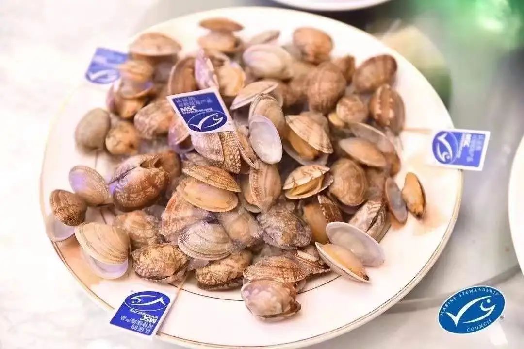 【優(yōu)質(zhì)展商】丹東泰宏食品有限公司——全球首個雜色蛤MSC認證企業(yè)(圖6)