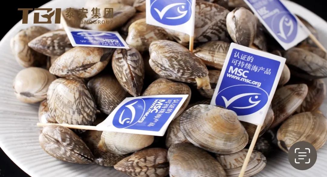 【優(yōu)質(zhì)展商】丹東泰宏食品有限公司——全球首個雜色蛤MSC認證企業(yè)(圖7)