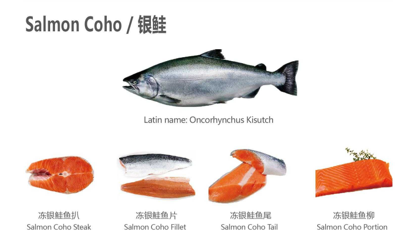 【優(yōu)質(zhì)展商】天津食品供應(yīng)鏈集團(tuán)國際貿(mào)易有限公司——共享、服務(wù)(圖2)