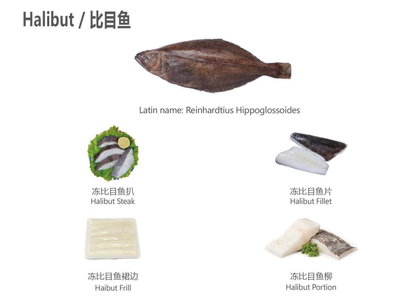 【優(yōu)質(zhì)展商】天津食品供應(yīng)鏈集團(tuán)國際貿(mào)易有限公司——共享、服務(wù)(圖3)