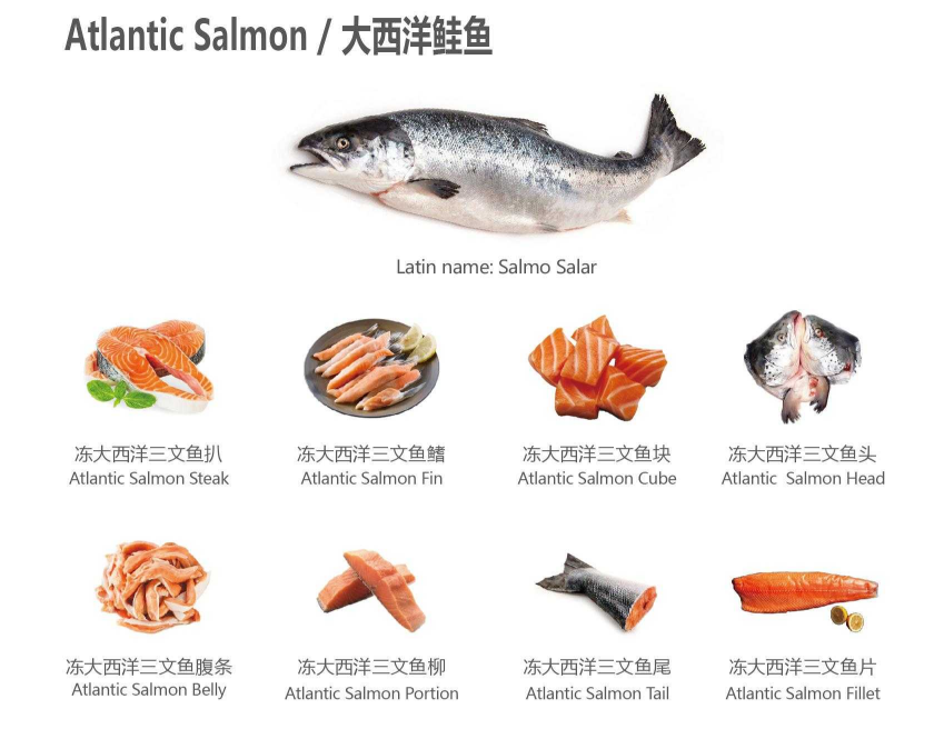 【優(yōu)質(zhì)展商】天津食品供應(yīng)鏈集團(tuán)國際貿(mào)易有限公司——共享、服務(wù)(圖1)