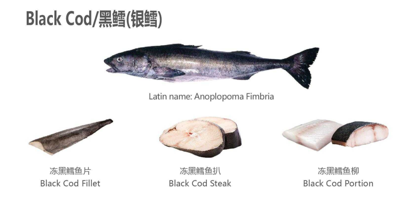 【優(yōu)質(zhì)展商】天津食品供應(yīng)鏈集團(tuán)國際貿(mào)易有限公司——共享、服務(wù)(圖4)