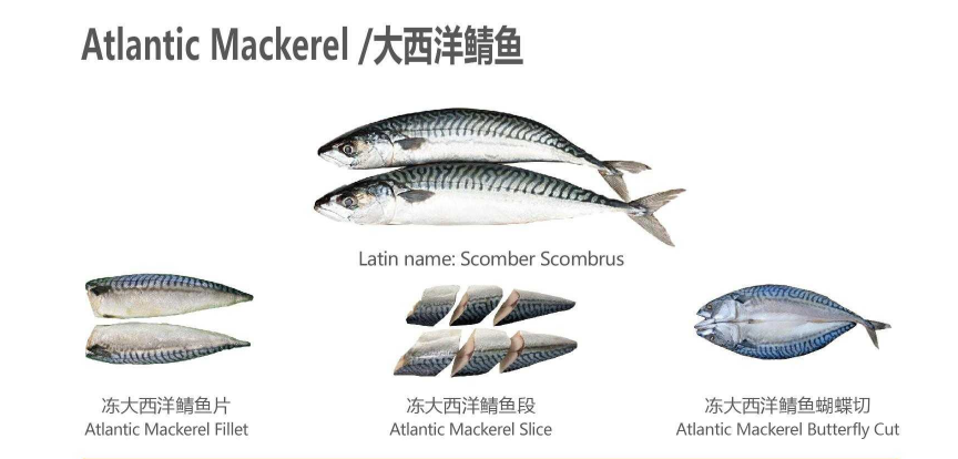 【優(yōu)質(zhì)展商】天津食品供應(yīng)鏈集團(tuán)國際貿(mào)易有限公司——共享、服務(wù)(圖5)