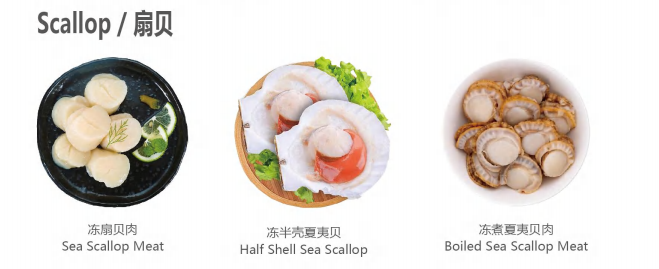 【優(yōu)質(zhì)展商】天津食品供應(yīng)鏈集團(tuán)國際貿(mào)易有限公司——共享、服務(wù)(圖8)