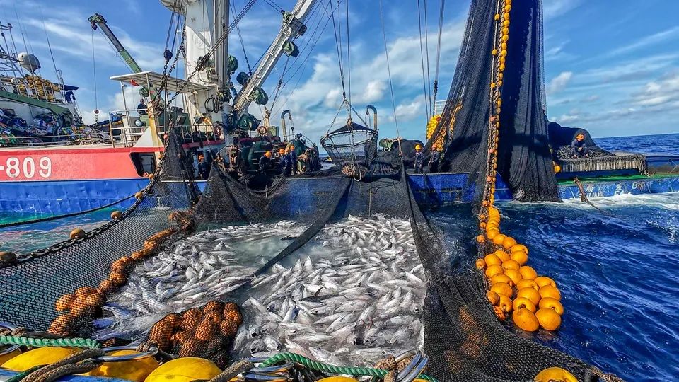 大洋世家：遠(yuǎn)洋漁業(yè)的隱形冠軍，如何“釣”出年入39億的海鮮帝國(guó)(圖2)