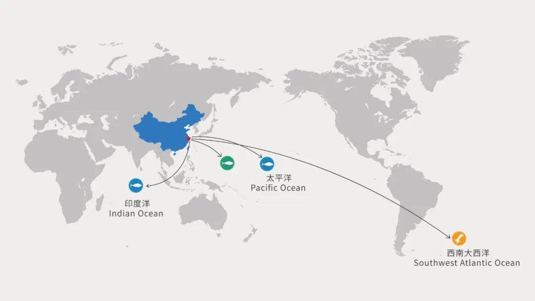 大洋世家：遠(yuǎn)洋漁業(yè)的隱形冠軍，如何“釣”出年入39億的海鮮帝國(guó)(圖5)