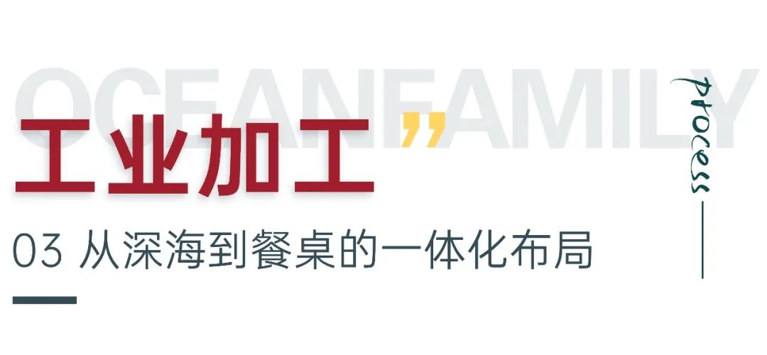 大洋世家：遠(yuǎn)洋漁業(yè)的隱形冠軍，如何“釣”出年入39億的海鮮帝國(guó)(圖8)