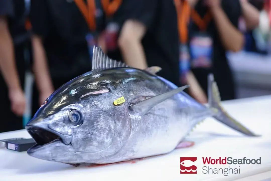 大洋世家：遠(yuǎn)洋漁業(yè)的隱形冠軍，如何“釣”出年入39億的海鮮帝國(guó)(圖14)