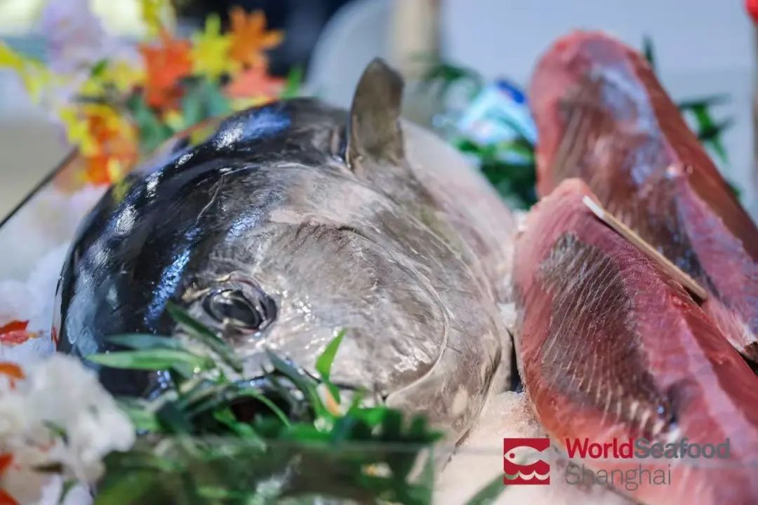 大洋世家：遠(yuǎn)洋漁業(yè)的隱形冠軍，如何“釣”出年入39億的海鮮帝國(guó)(圖15)