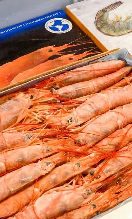 大洋世家：遠(yuǎn)洋漁業(yè)的隱形冠軍，如何“釣”出年入39億的海鮮帝國(guó)(圖21)