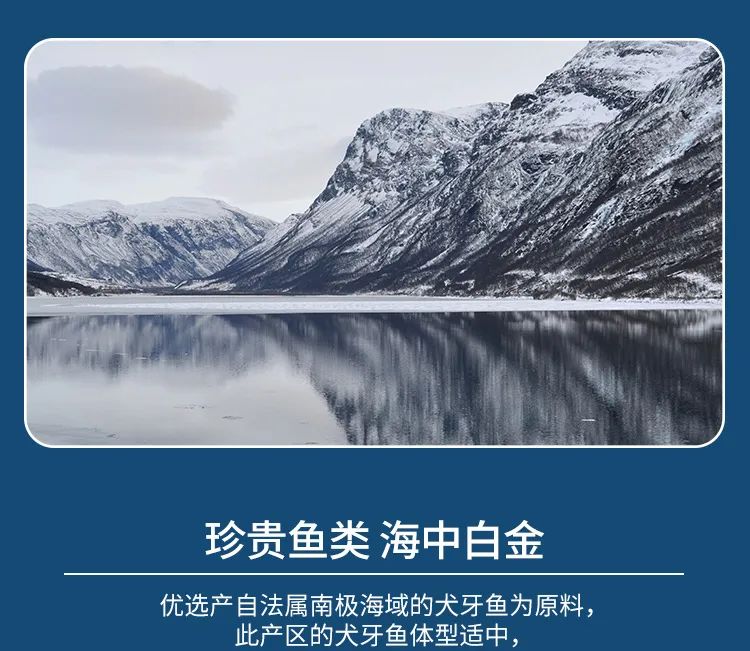 領(lǐng)“鮮”新食代！海天下全系海鮮重新定義消費(fèi)新體驗(yàn)(圖25)