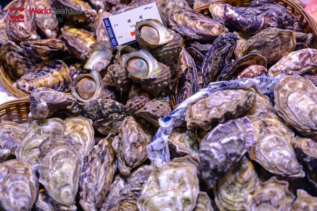 海外商機 引力全球 | 上海成為全球水產(chǎn)商機的“引力場”(圖12)