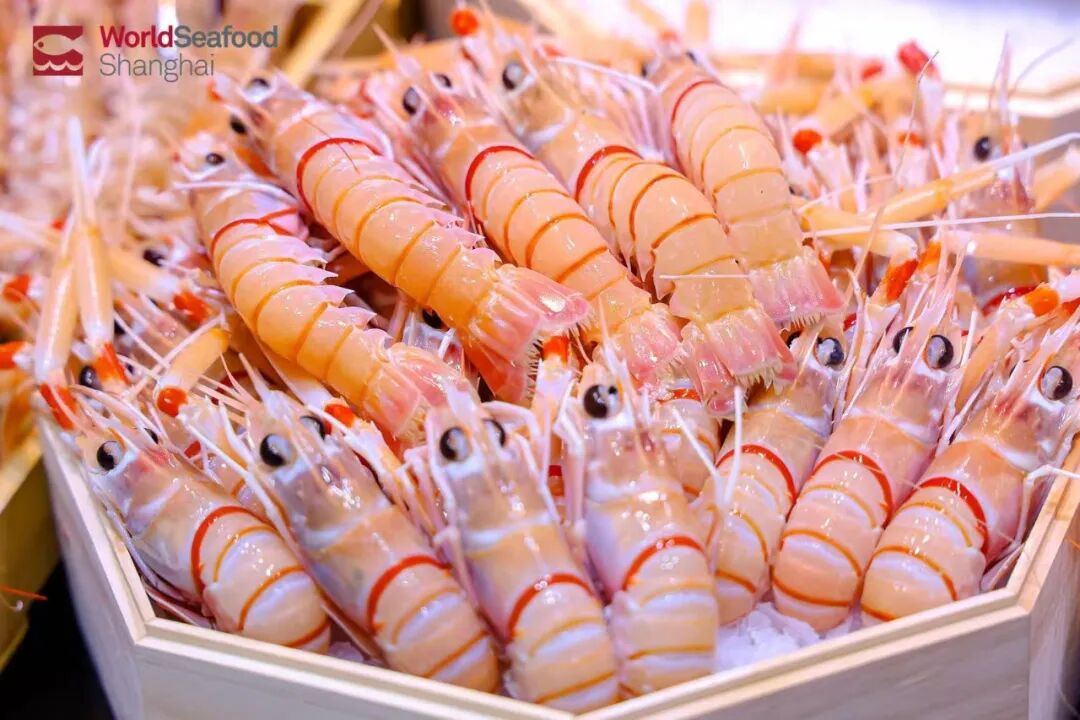 海外商機 引力全球 | 上海成為全球水產(chǎn)商機的“引力場”(圖8)