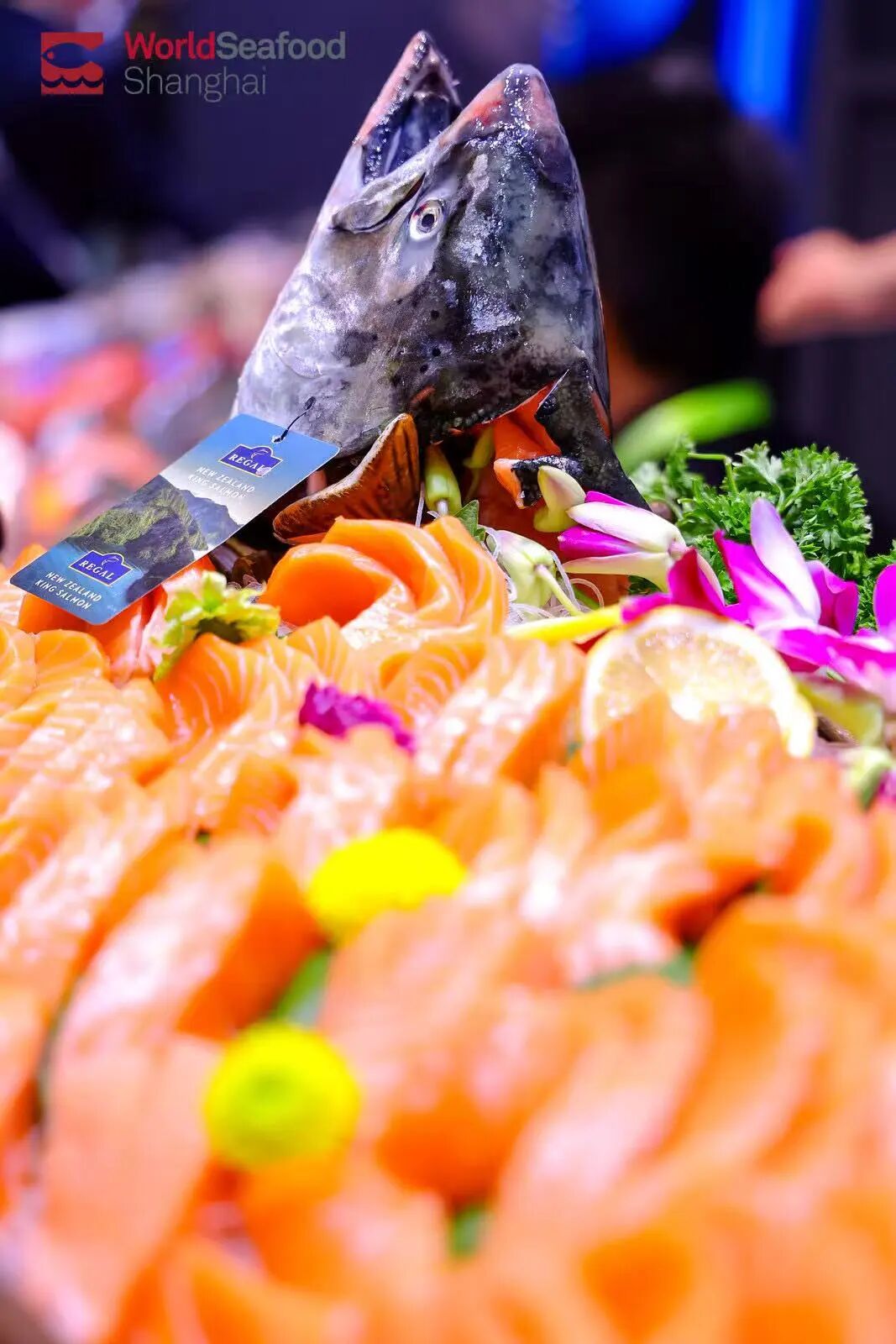 海外商機 引力全球 | 上海成為全球水產(chǎn)商機的“引力場”(圖11)