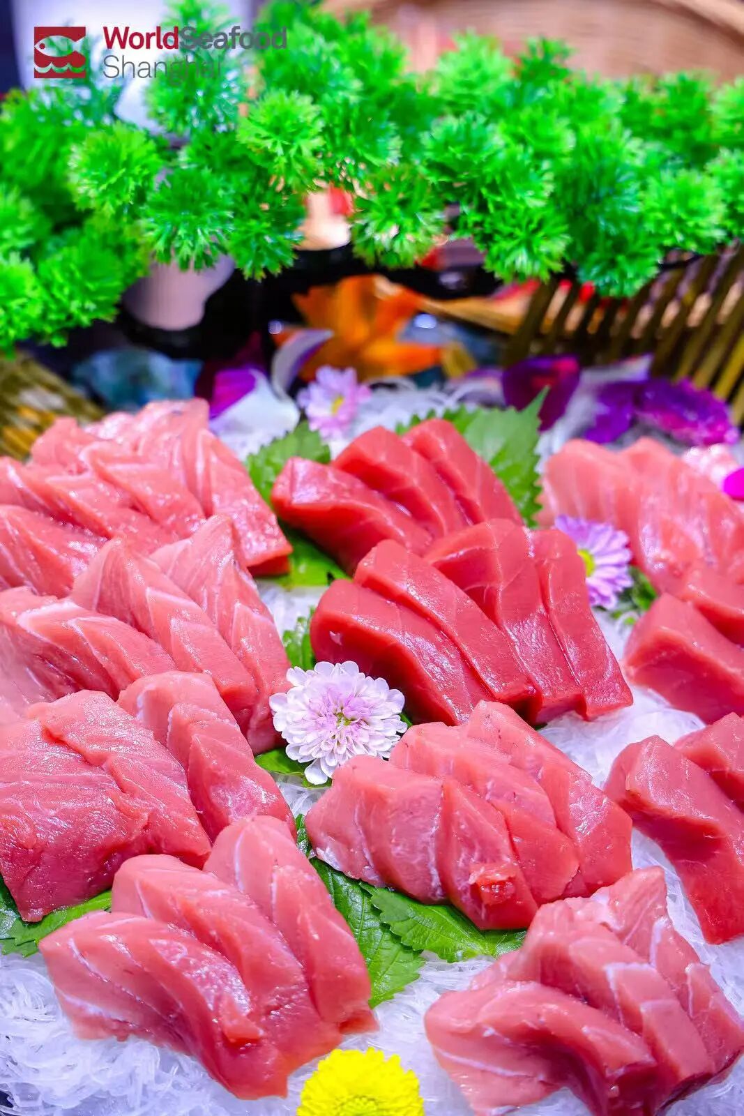 海外商機 引力全球 | 上海成為全球水產(chǎn)商機的“引力場”(圖10)