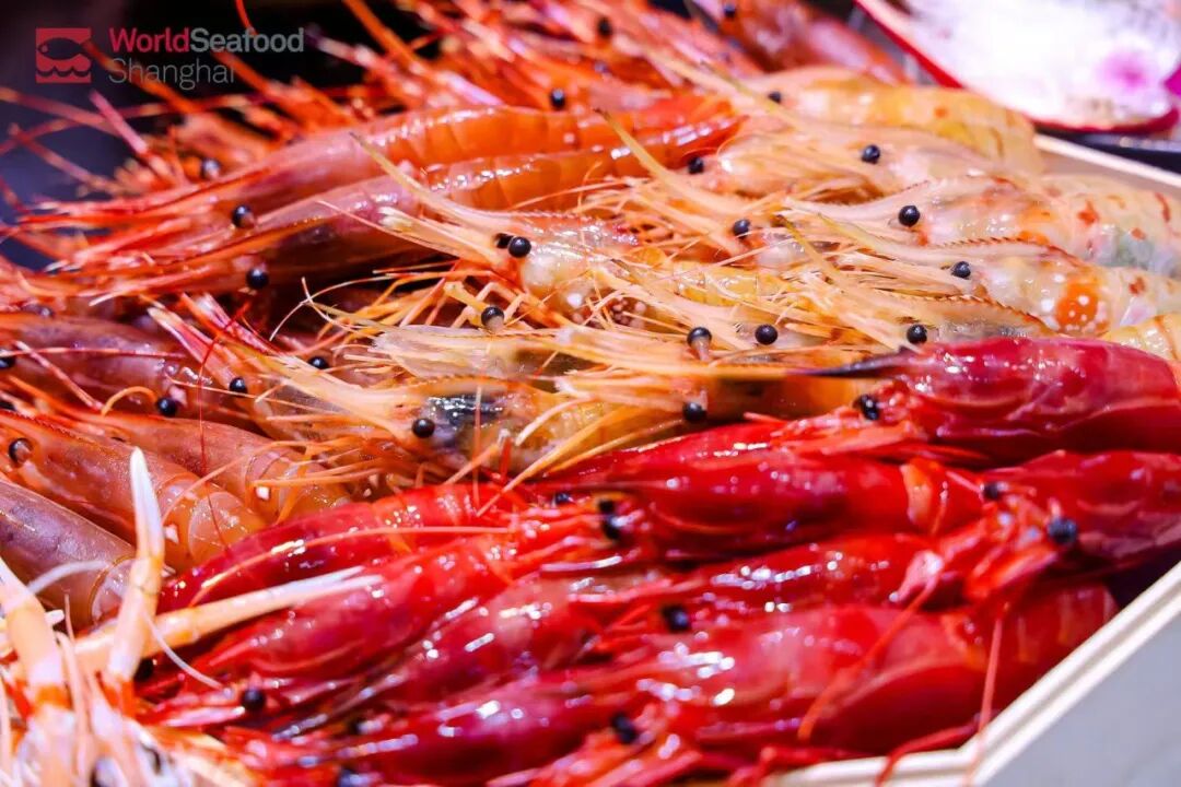 海外商機 引力全球 | 上海成為全球水產(chǎn)商機的“引力場”(圖13)