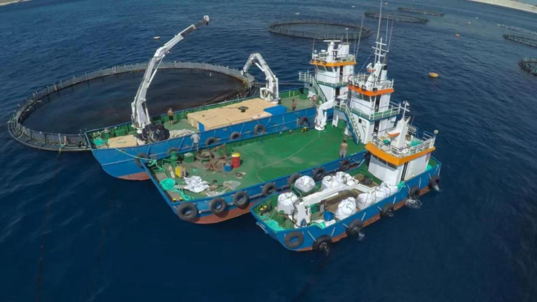 海南通告：12月18日起，全島封關(guān)！(圖6)