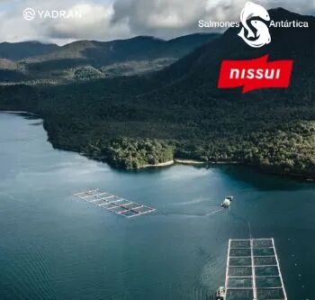 日產(chǎn)日水1.33億美元收購智利企業(yè)，擴大全球鮭魚養(yǎng)殖業(yè)務(圖3)