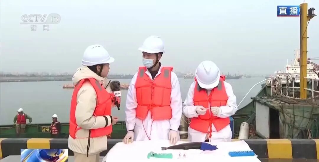 直擊海洋牧場(chǎng)轉(zhuǎn)場(chǎng) | 我國(guó)迎來三文魚陸海接力養(yǎng)殖時(shí)代(圖2)